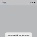D00952 이미지