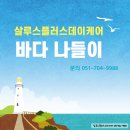 단감테라피 이미지