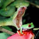 생명의 그물 1 이미지