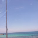 제주마중 판포 이미지