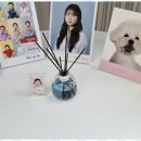 비전사진관 네이버블로그
