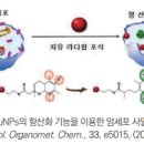 금 나노입자의 녹색 합성과 바이오 응용 기술 동향 이미지