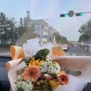 매일 꽃 이미지