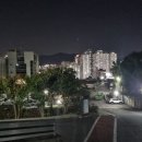 2021 제 49회 치과위생사 국가고시 후기