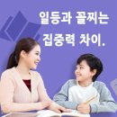 일등교육