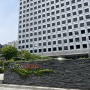 쿠에듀케이션 | [IELTS] 아이엘츠 준비기간 2년, 공부기간 단 몇 개월(ㅋㅋ) 처참하게 망하다!!