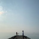 한솔다방 - 장흥군 칠관로 1567 | 한솔다방