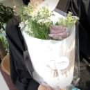 라플라너리 이미지