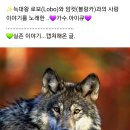 💜가수.아이큐💜스토리1 이미지