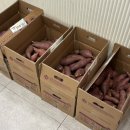 카페;멜로디어스