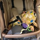 사진 카메라 아카데미 | 천안 문센 신세계아카데미 리틀자이언트 겨울학기제목없음후기 (9개월 아기)