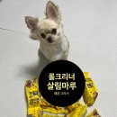 반려동물청소템 롤크리너 추천｜강력점착력 좋은 살림마루 롤크리너 I형 레몬그라스향 본품 사용후기
