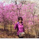 아름따다 이미지