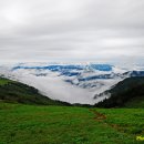 하늘닿은농장 이미지