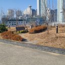 인정한방병원 이미지