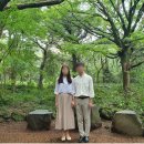 제주도 여행 : 제주도 신혼여행 후기 6