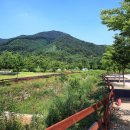 연산황산벌오토캠핑장 이미지