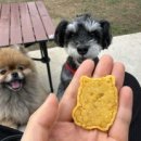 멍클라쓰 이미지