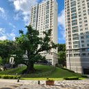 더샵동천포레스트 이미지