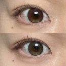 올리브데이 | [렌즈 후기]다비치 포레아 카멜/올리브 비교 후기(원데이 착용)