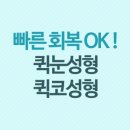 빠른퀵 이미지