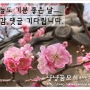 우주카메라서비스센타 이미지