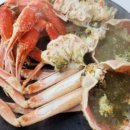 피어26(PIER26) 이미지