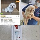 신흥동물병원 이미지