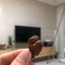 청채움