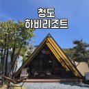 청도 하비 글램핑 후기 대구근교 감성숙소
