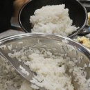 생선선생 이미지