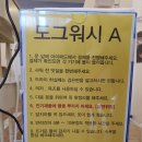 도그워시 이미지