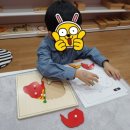 정관6로 이미지