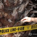 박지호농장 연합뉴스