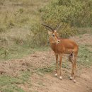 재스민향기 이미지