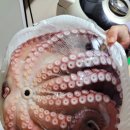 (주)인스톨 이미지
