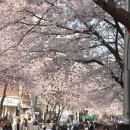 121-2-000003 | 서울 향수공방 121르말뒤페이 벚꽃길 홍대데이트