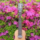 [25-3] 장폴 우쿨렐레 이미지