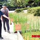 등나무근린공원 이미지