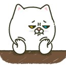 아리헤어 이미지