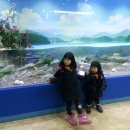 화진포관광지2 이미지