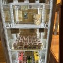 빽다방 태백중앙점 이미지