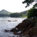 플로라모텔 이미지