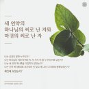 신천지예수교회 송구영신예배, "새해 또 한 번 10만 수료 이뤄낼 것" 이미지