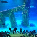 (도슨트와 함께하는)도서관 놀이산책(5/4) | 서울 실내 아이랑 가볼만한곳 4가지 테마 코스