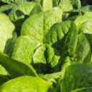 찬수농장 이미지