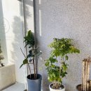 나무로스터리카페 이미지