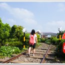 선녀와나무꾼 이미지