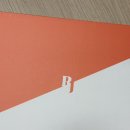 레미제이 밴딩타월 신혼집 수건 내돈내산 사용후기ヽ(✿ﾟ▽ﾟ)ノ