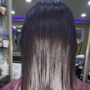 헤어랜드 이미지